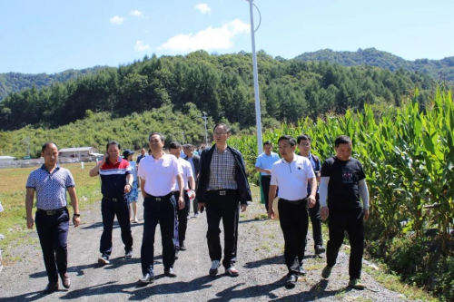 湖北省林业局局长刘新池视察神药中药材基地