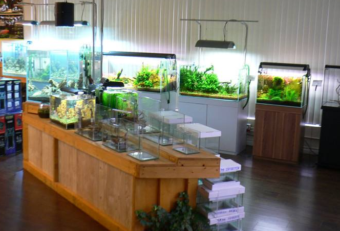 痛甩历史包袱 豫金刚石“工业+消费”轻装上阵